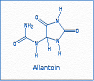 [Allantoin]