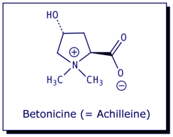 [Betonicine (= Achilleine)]