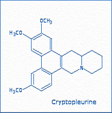 [Cryptopleurine]