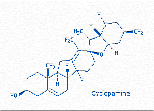 [Cyclopamine]