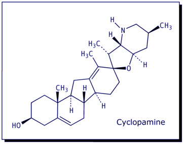 [Cyclopamine]