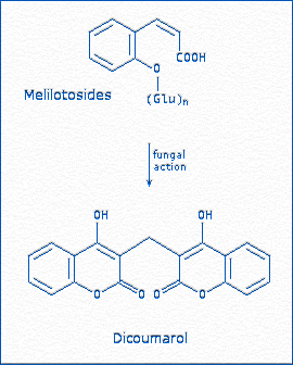 [Dicoumarol; Melilotoside]