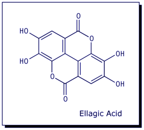 [Ellagic acid]