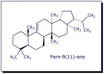 [Fern-9(11)-ene]