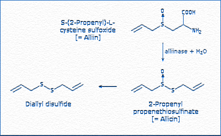 [Alliin / Allicin / Diallyl disulfide]