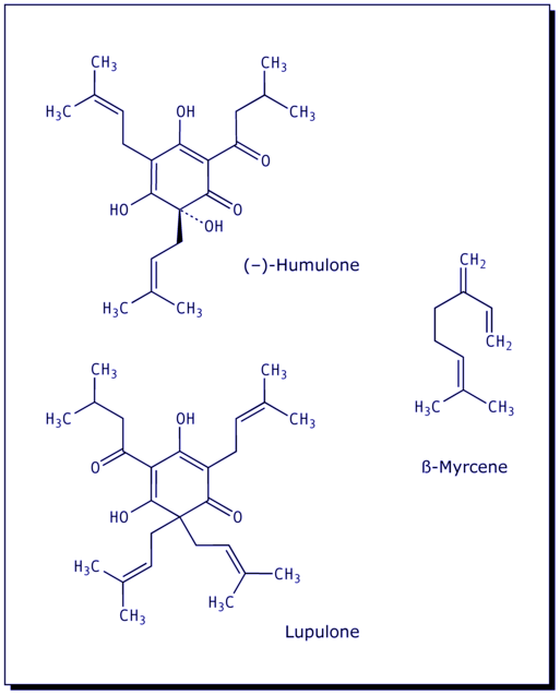 [Humulone; Lupulone; Myrcene]