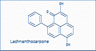 [Lachnanthocarpone]