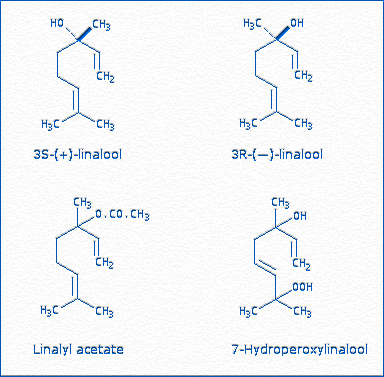 [Linalool enantiomers; Linalyl acetate; 7-Hydroperoxylinalool]