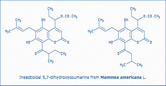 [Insecticidal 5,7-Dihydroxycoumarins]
