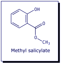 [Methyl Salicylate]