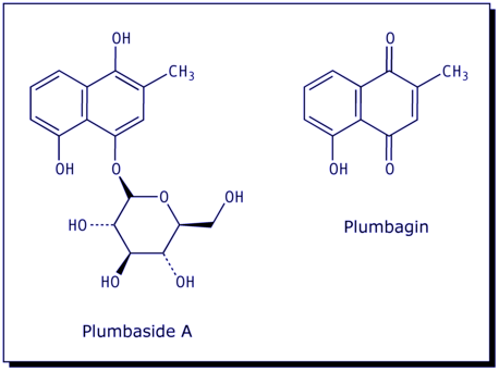 [Plumbagin; Plumbaside A]