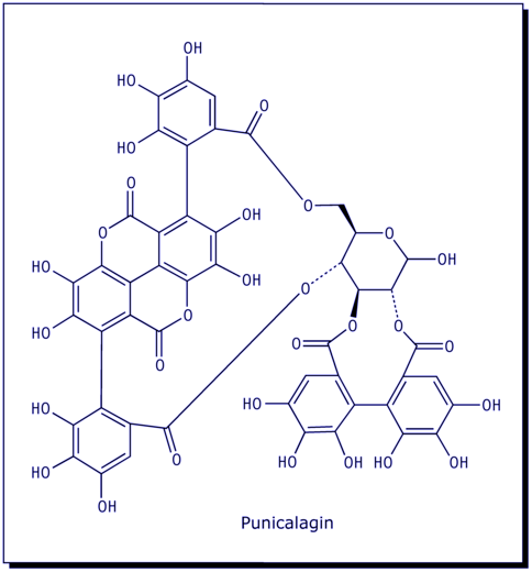 [Punicalagin]