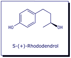 [Rhododendrol]