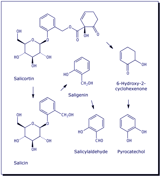 [Salicin; Saligenin; Salicylaldehyde]