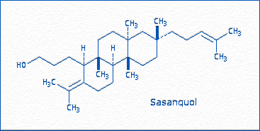 [Sasanquol]